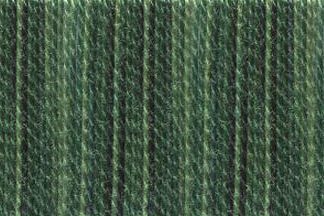 DMC Color Variations Floss 4045 Evergreen Forest