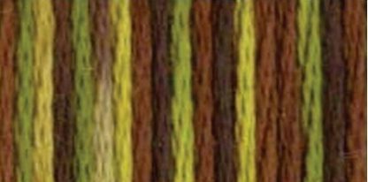 DMC Color Variations Floss 4068 Camouflage
