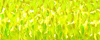 9132 Lemon Grass Kreinik