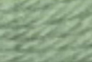 DMC Tapestry Wool 7369 Light Dusty Green