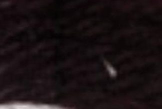 DMC Tapestry Wool 7372 Ultra Very Dark Drab Plum