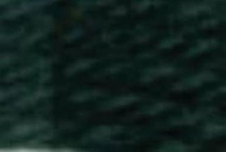 DMC Tapestry Wool 7389 Dark Evergreen