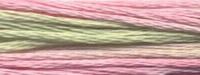 Cottage Garden Classic Colorworks Cotton Floss