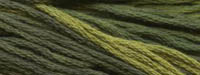Mossy Classic Colorworks Cotton Floss