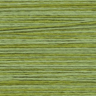 2196 Scuppernong Weeks Dye Works 3-Strand Floss