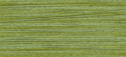 2196 Scuppernong Weeks Dye Works 3-Strand Floss