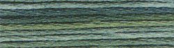 Anchor Multicolor Floss 1352 Mintgreen Melange