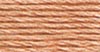 Anchor Floss 883 Copper - Med