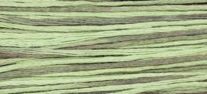 1181 Cape Cod Weeks Dye Works 6-Strand Floss