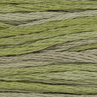 1256 Thyme Weeks Dye Works 6-Strand Floss