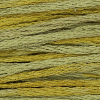 1264 Loden Weeks Dye Works 6-Strand Floss