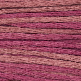 1336 Raspberry Weeks Dye Works 6-Strand Floss