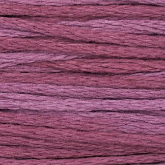 1343 Boysenberry Weeks Dye Works 6-Strand Floss