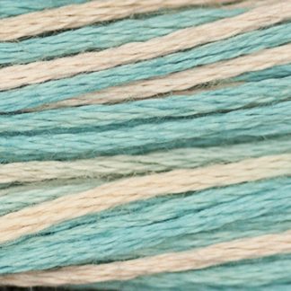 2121 Bermuda Weeks Dye Works 6-Strand Floss
