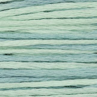 2131 Aqua Weeks Dye Works 6-Strand Floss
