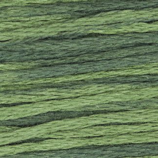 2159 Seaweed Weeks Dye Works 6-Strand Floss