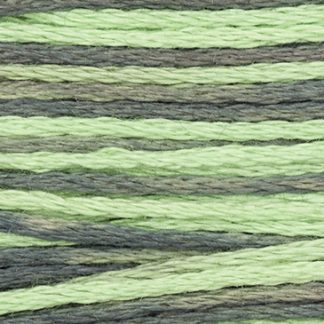 2161 Julep Weeks Dye Works 6-Strand Floss