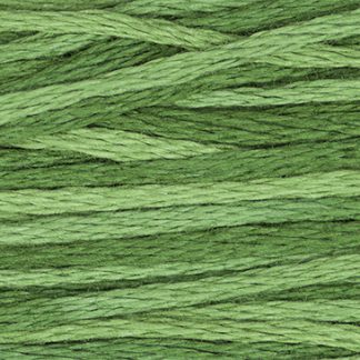2168 Monkey Grass Weeks Dye Works 6-Strand Floss