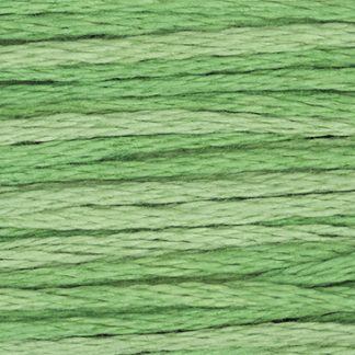 2171 Emerald Weeks Dye Works 6-Strand Floss