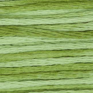 2176 Meadow Weeks Dye Works 6-Strand Floss