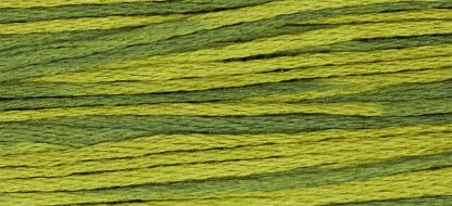 2201 Moss Weeks Dye Works 6-Strand Floss