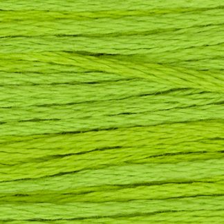 2204 Absinthe Weeks Dye Works 6-Strand Floss