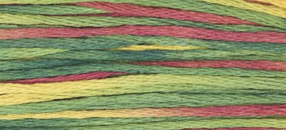 4105 Noel Weeks Dye Works 6-Strand Floss