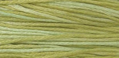 1191 Dried Sage Weeks Dye Works 6-Strand Floss