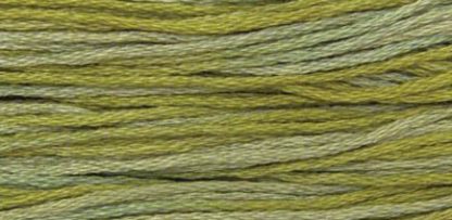 2196 Scuppernong Weeks Dye Works 6-Strand Floss