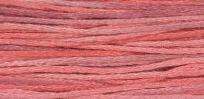 4153 Berry Splash Weeks Dye Works 6-Strand floss