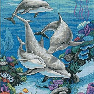 The Dolphins' Domain from Dimensions