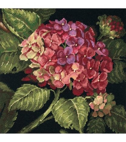 Hydrangea Bloom from Dimensions