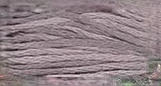 1312 Catmint Weeks Dye Works 6-Strand Floss
