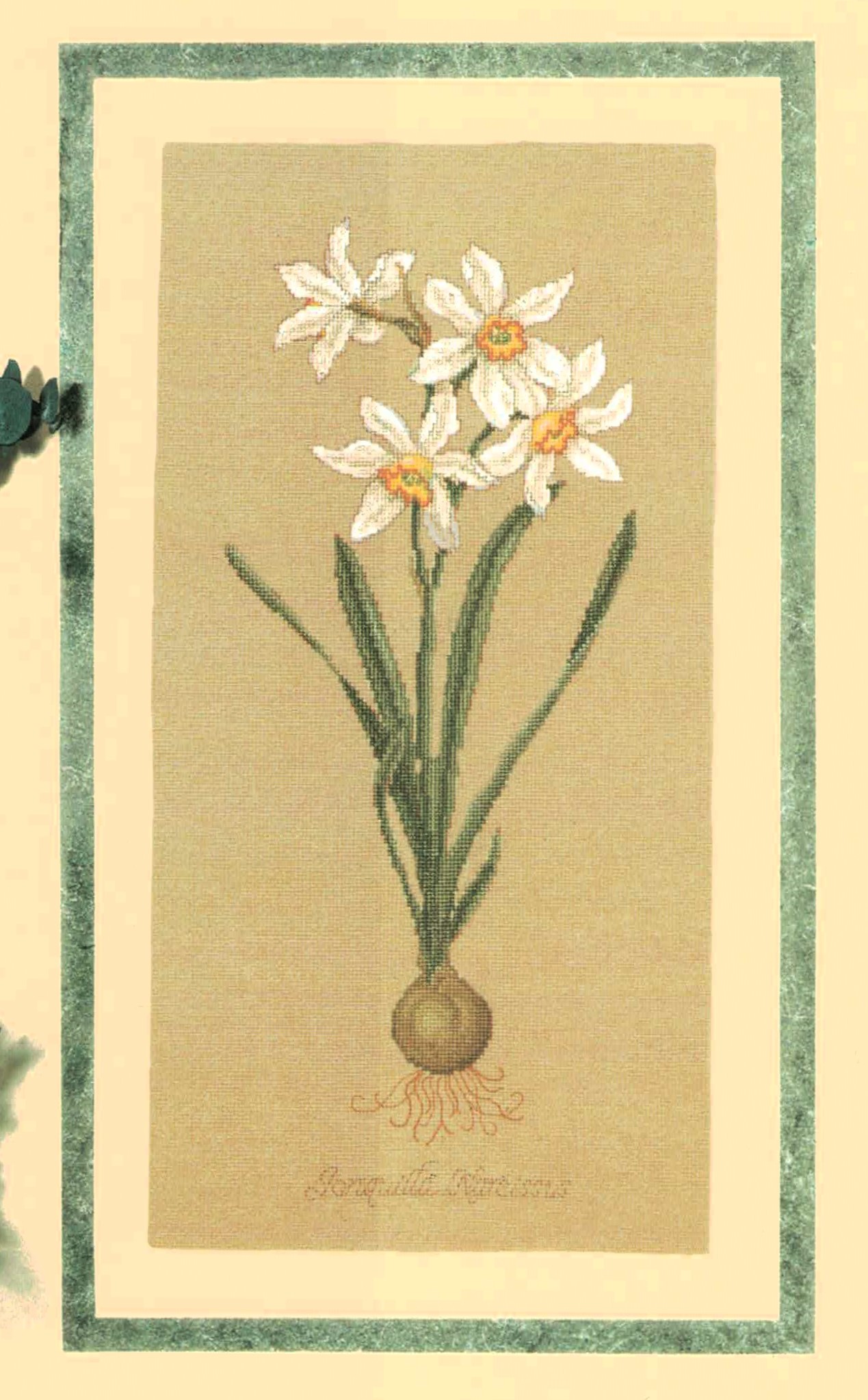 Narcissus cross stitch pattern from Serendipity Designs SDP-L186