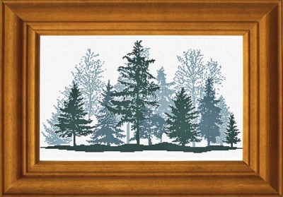 Winter Forest