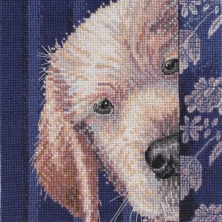 I Didn't Do It cross stitch kit from Bucilla BU-45518