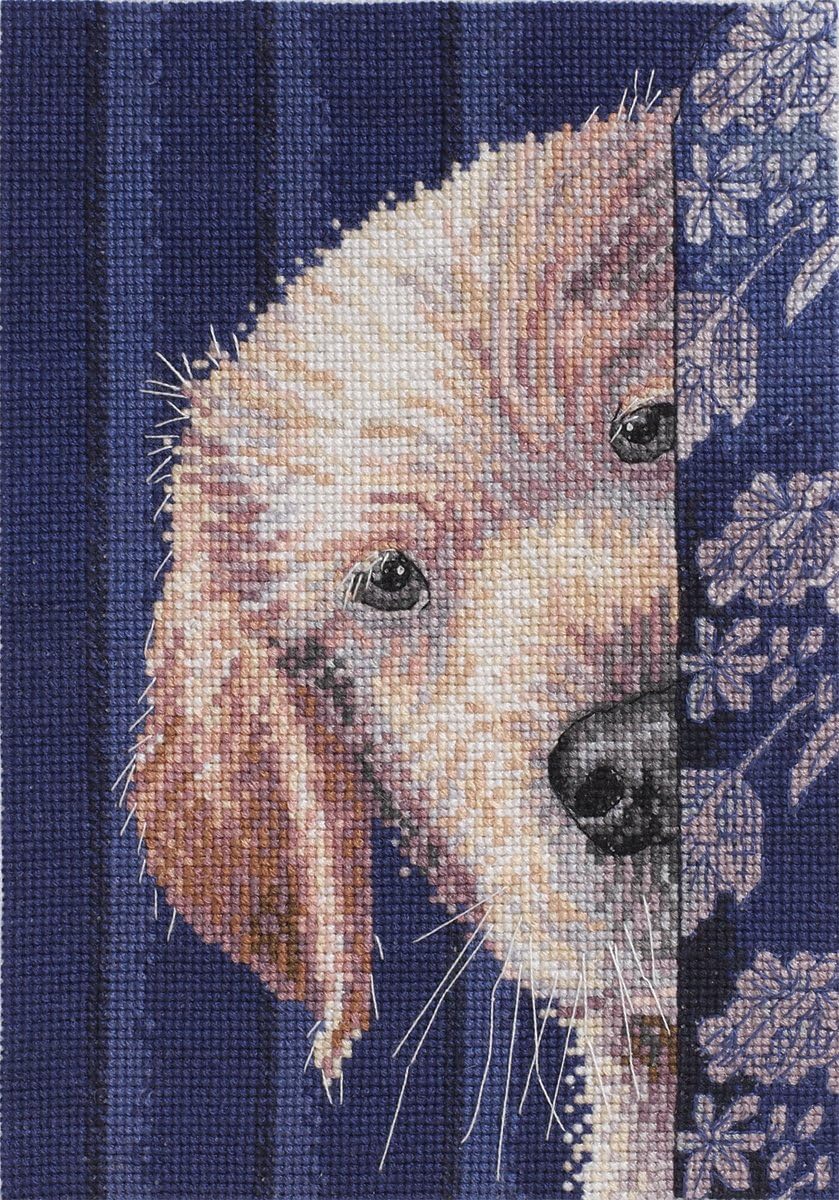 I Didn't Do It cross stitch kit from Bucilla BU-45518