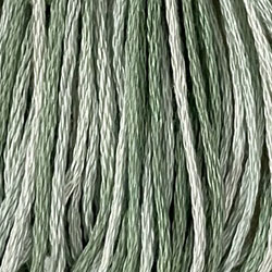 Valdani Floss O556